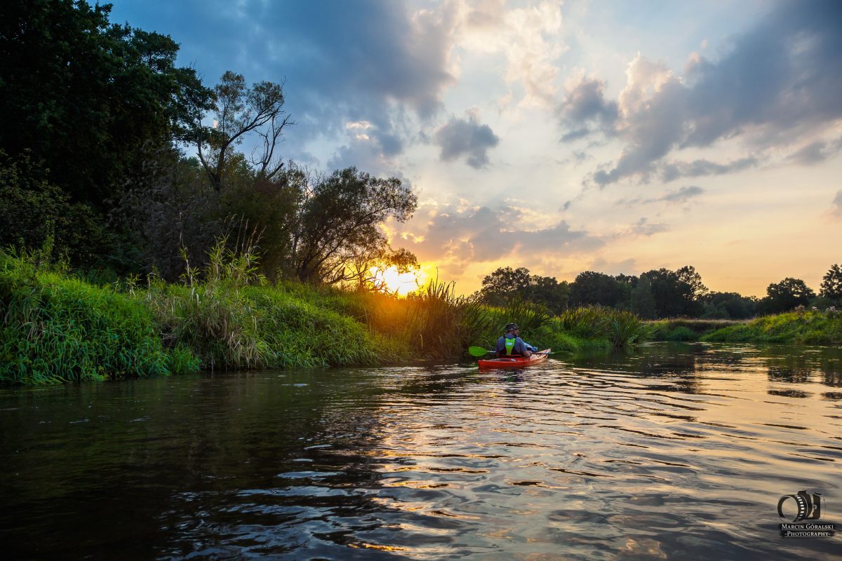 Kajaki na rzece Warta 4