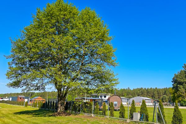Miejsca Campingowe w CampKAJAKOWO 18